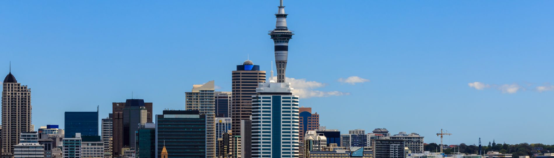 beautiful Auckland