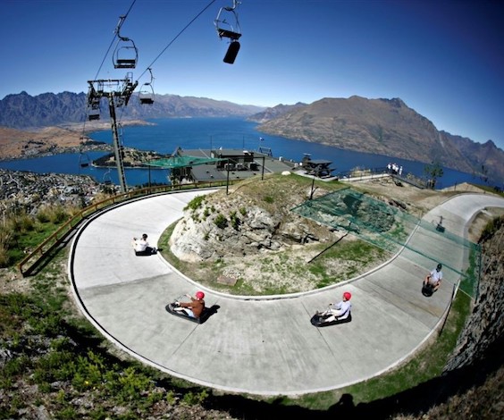 stag party riding luge in queenstown