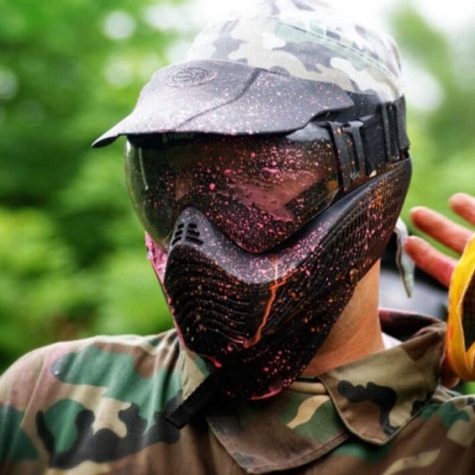 activities to do in bay of islands paintball
